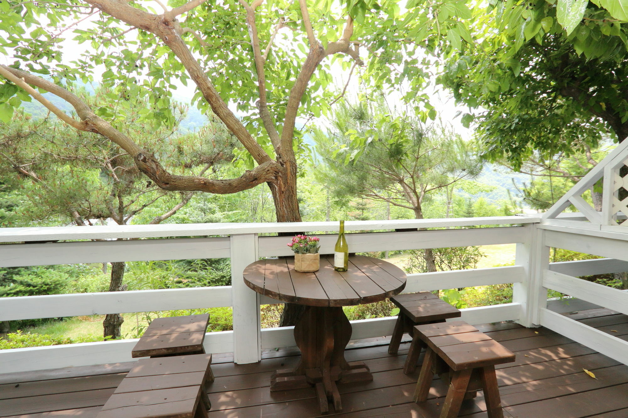 Sicily Pension Hongcheon Exteriér fotografie